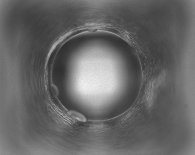 X0000052550342200507081615