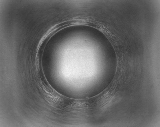 X0000052550343200507081615