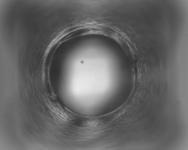 X0000052550344200507081615