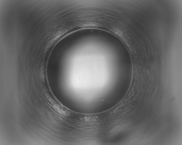 X0000052550345200507081615