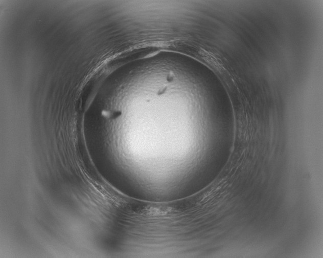 X0000052550346200507081615