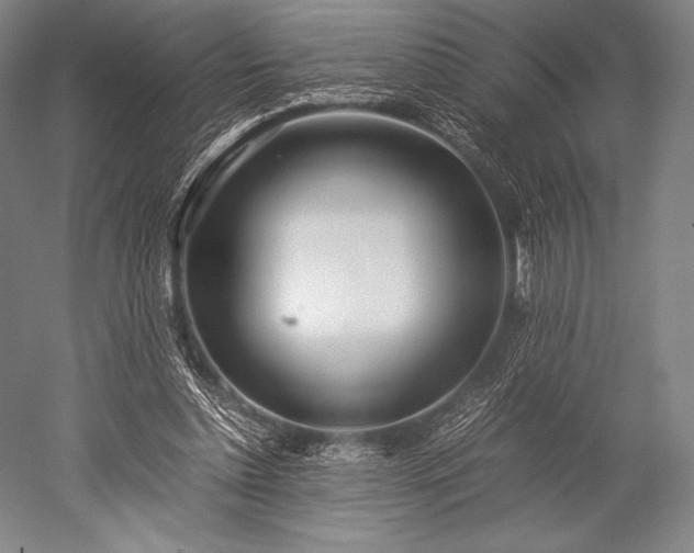 X0000052550348200507081615