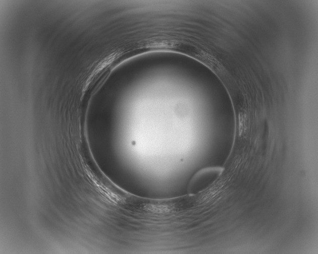 X0000052550349200507081615