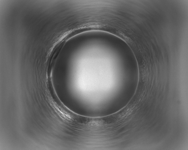 X0000052550350200507081615