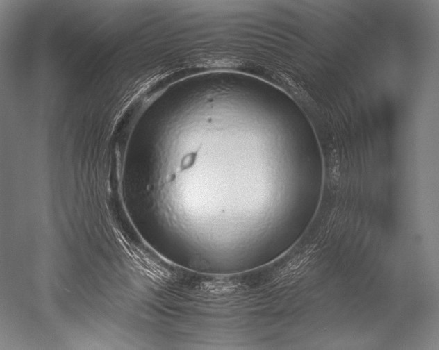 X0000052550351200507081615