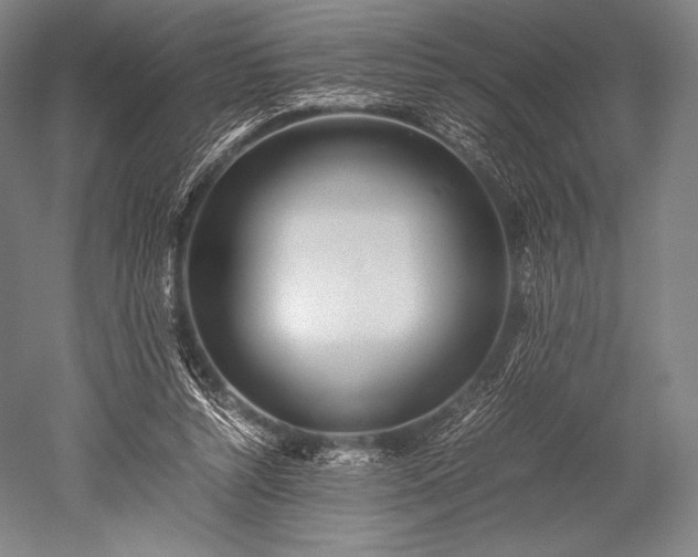 X0000052550352200507081615