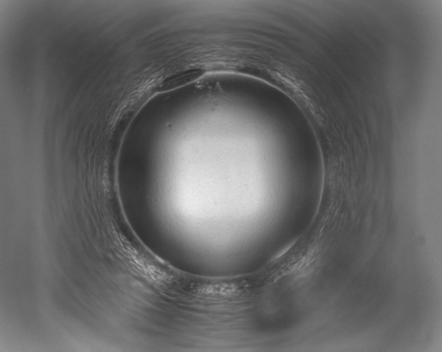 X0000052550353200507081615