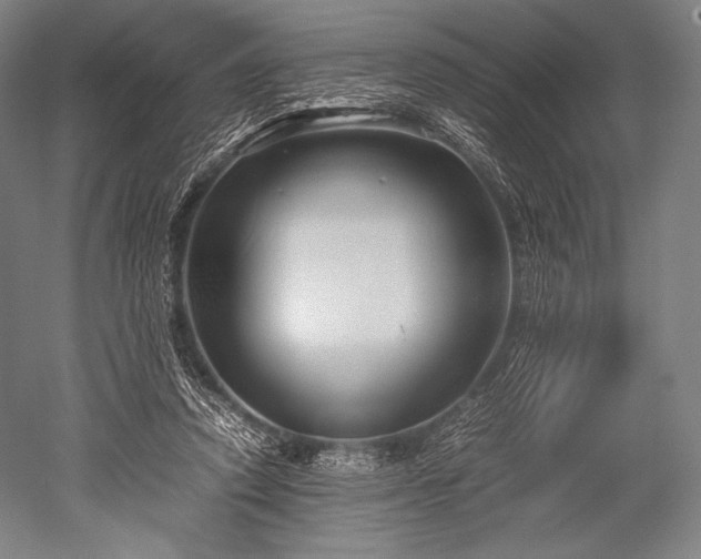 X0000052550354200507081615