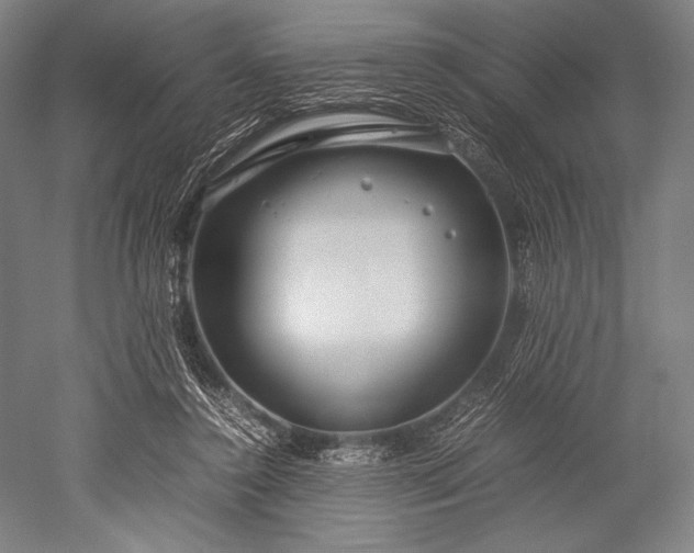 X0000052550356200507081615