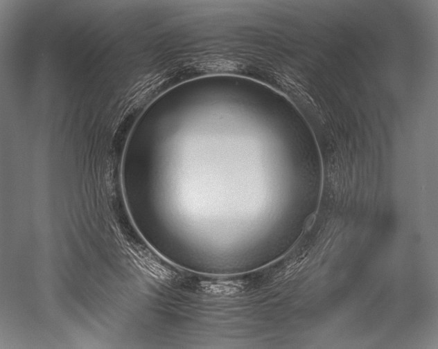 X0000052550359200507081615