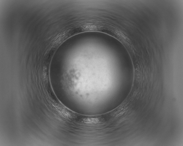 X0000052550361200507081615