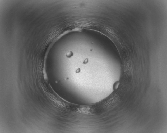 X0000052550362200507081615