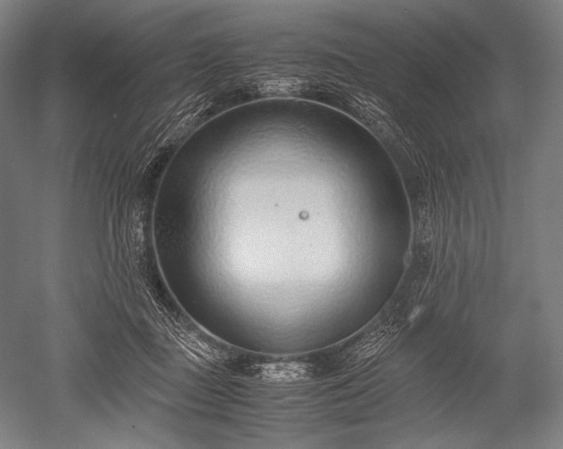 X0000052550363200507081615