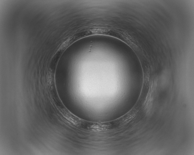 X0000052550367200507081615