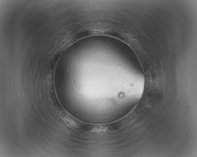 X0000052550369200507081615