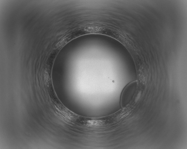 X0000052550371200507081616