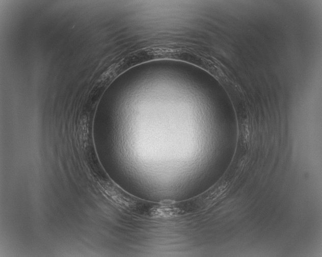 X0000052550372200507081616