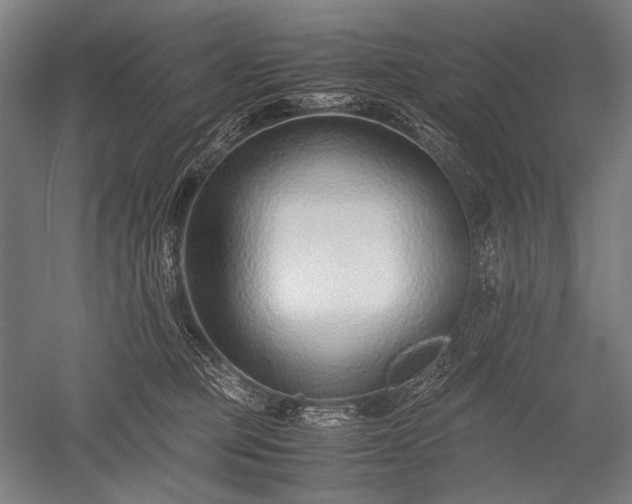 X0000052550373200507081616