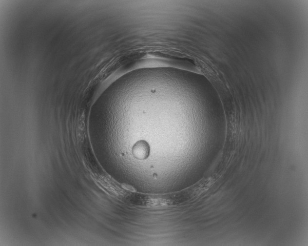 X0000052550376200507081616