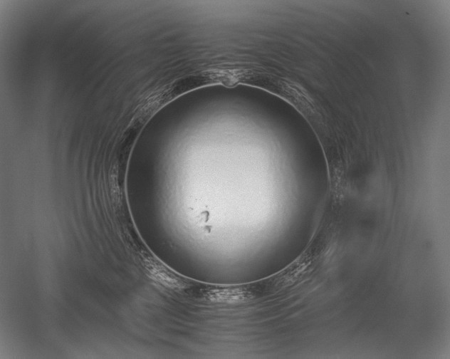 X0000052550377200507081616