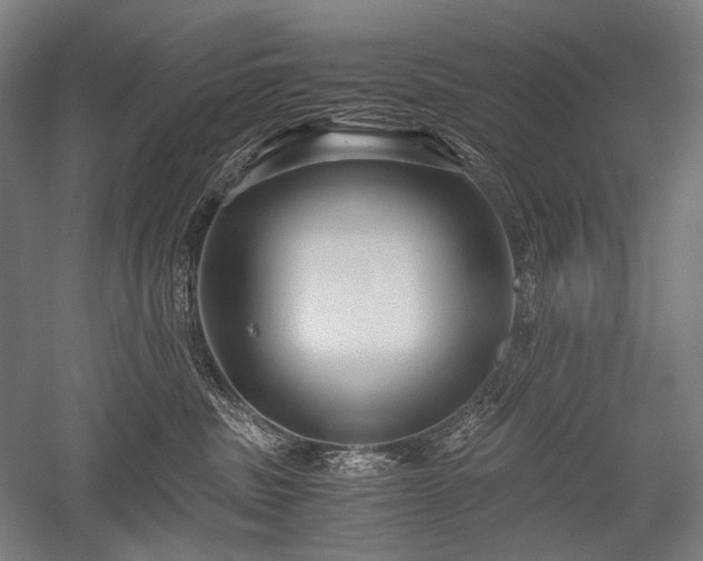 X0000052550379200507081616