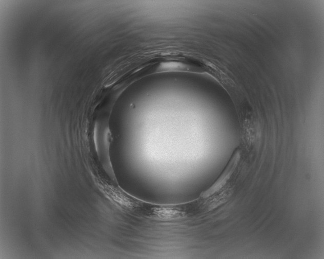 X0000052550380200507081616