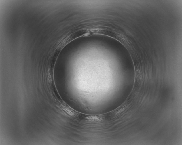 X0000052550381200507081616