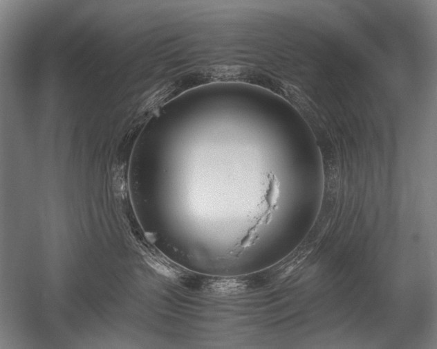 X0000052550383200507081616