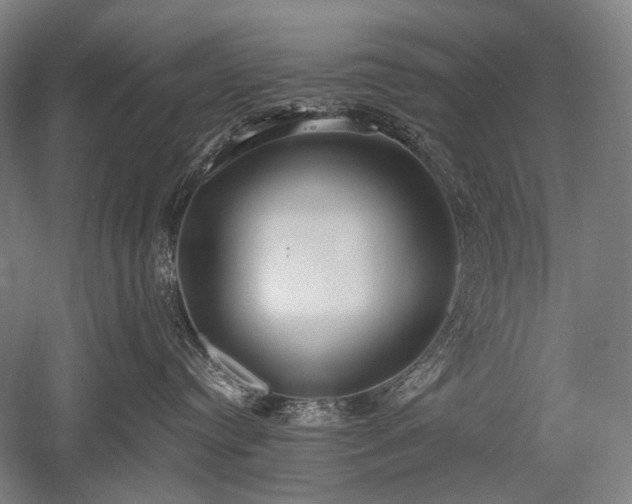 X0000052550384200507081616