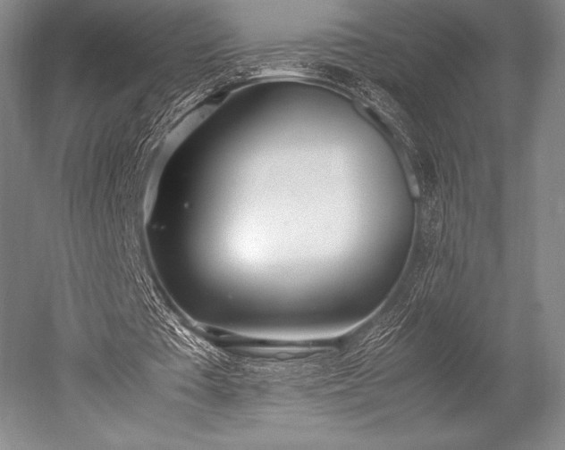 X0000052550385200507081615