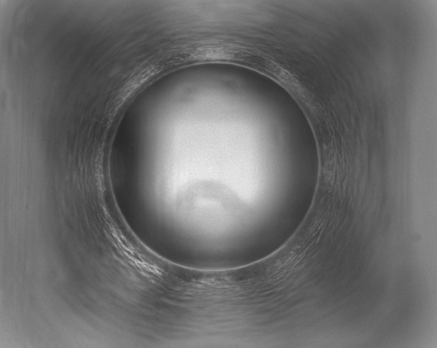 X0000052550386200507081615