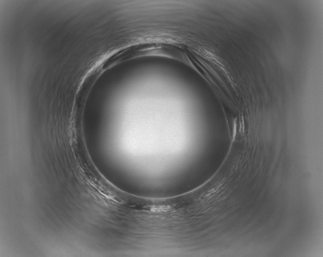 X0000052550388200507081615