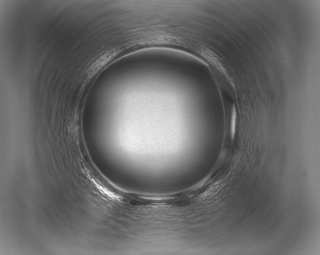 X0000052550389200507081615