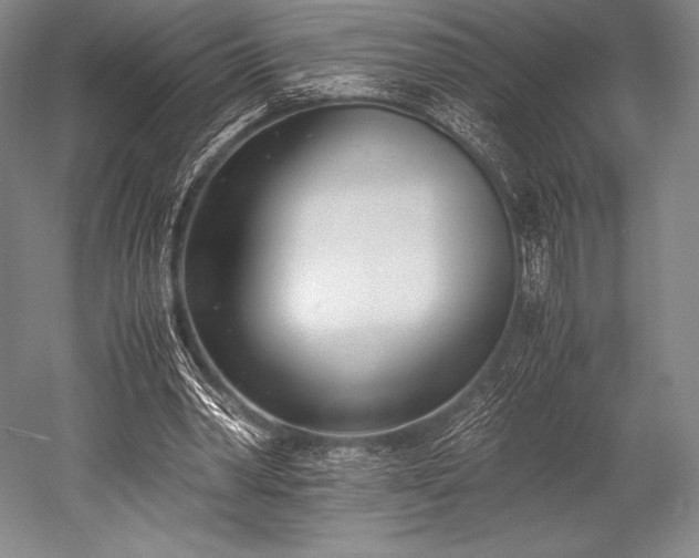 X0000052550390200507081615