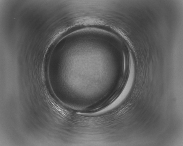 X0000052550391200507081615