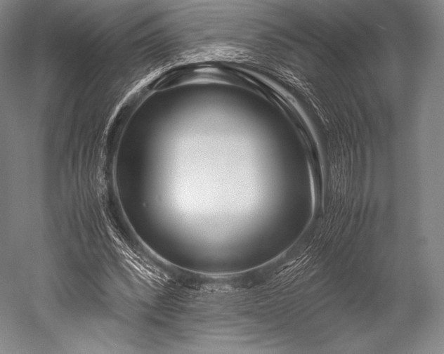 X0000052550392200507081615