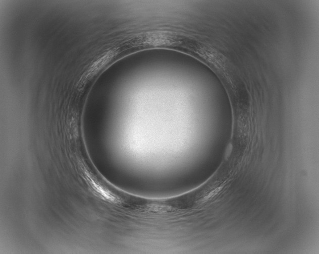 X0000052550393200507081615