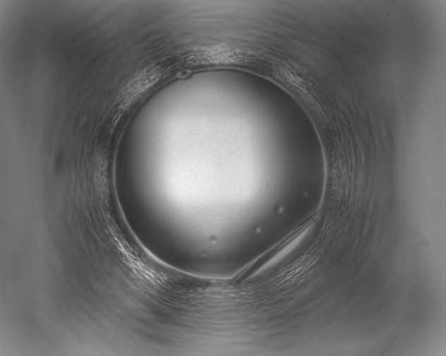 X0000052550394200507081615