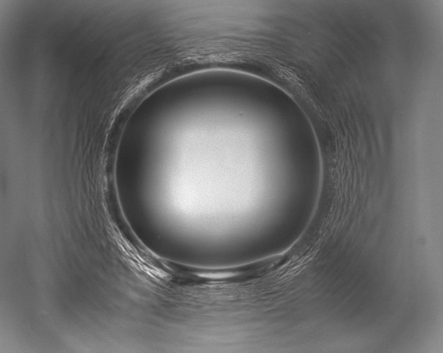 X0000052550395200507081615