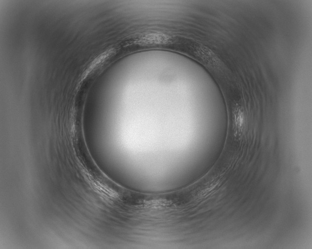 X0000052550396200507081615