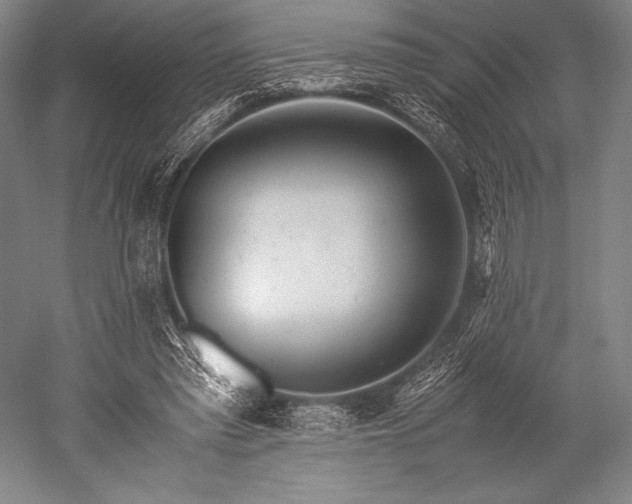 X0000052550397200507081615