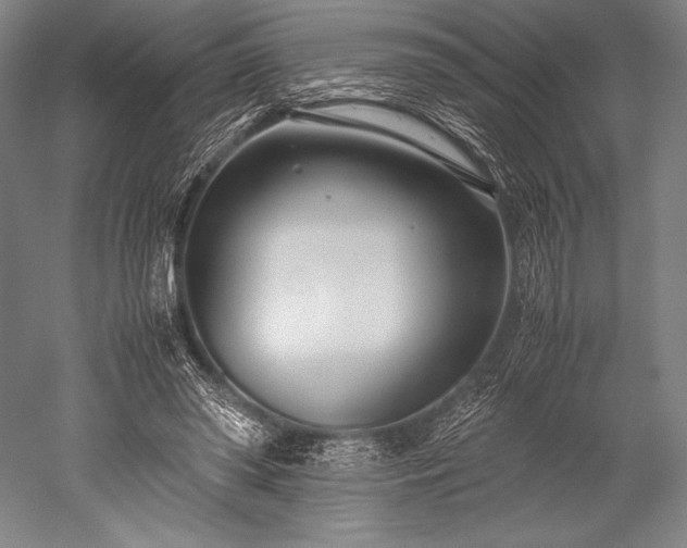 X0000052550398200507081615