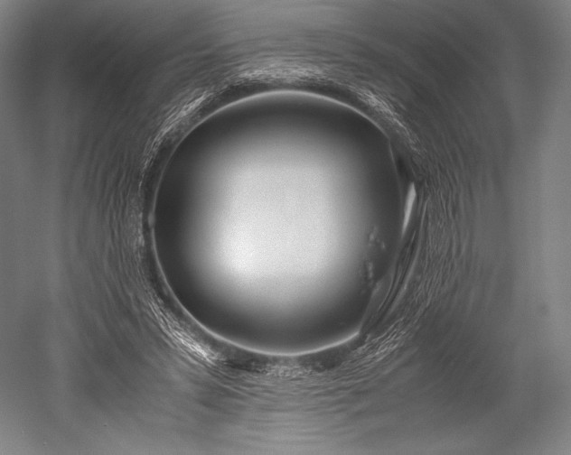 X0000052550399200507081615