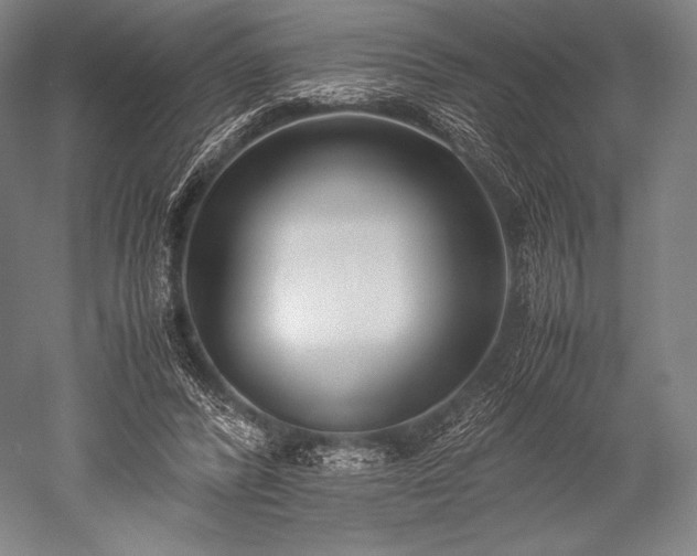 X0000052550400200507081615