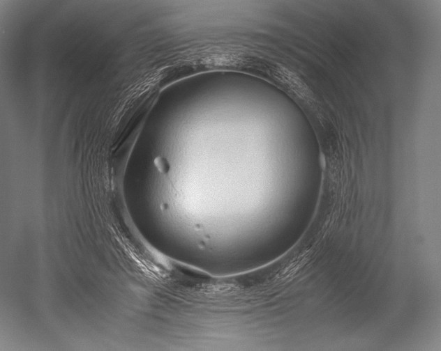 X0000052550401200507081615