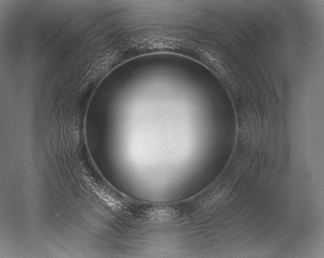 X0000052550402200507081615