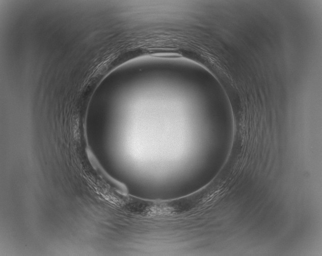 X0000052550403200507081615