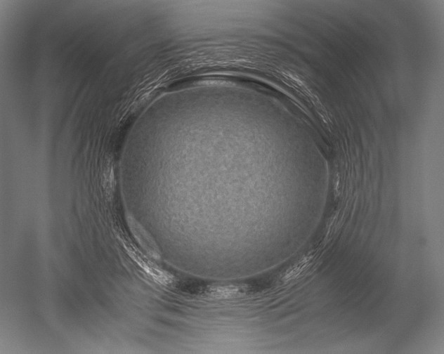 X0000052550405200507081615