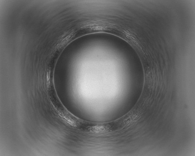 X0000052550406200507081615