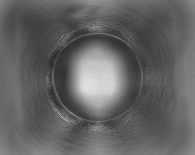 X0000052550408200507081615